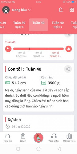 Thai 40 tuần