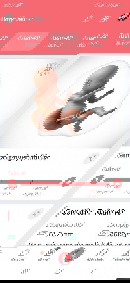 40 tuần chưa có cơn gò