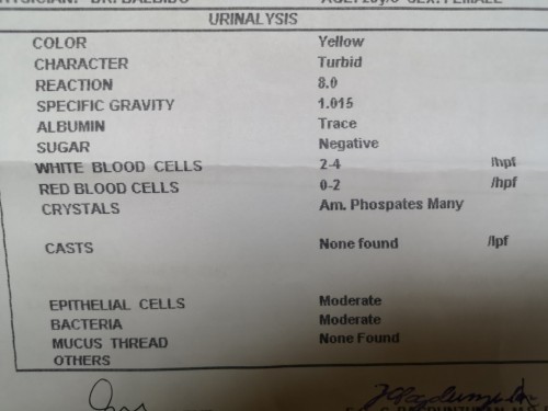 Urinalysis result