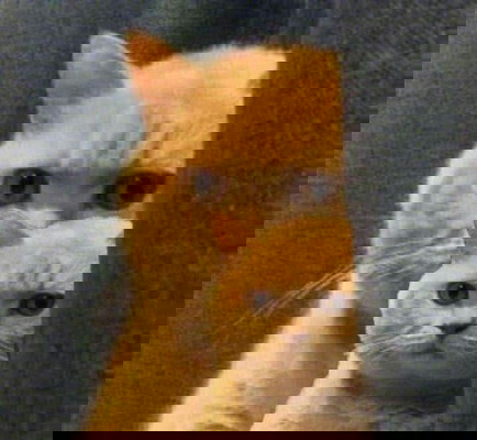 Các chị cho em hỏi với ạ. Em bầu 14tuan mà vùng kín bị ngứa vs rát lắm ạ. Các chị chỉ giúp em có thể dùng gì chữa k ạ?