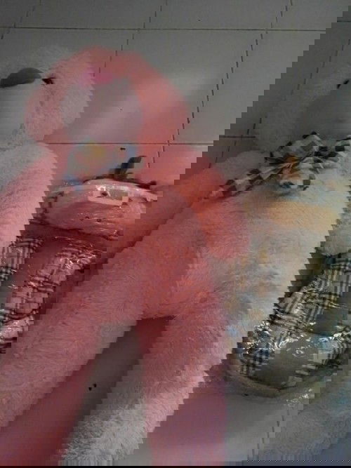 kasih boneka ((closed ya Bun. sudah ada penerima nya))