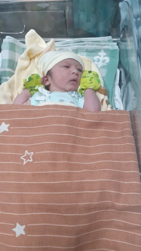 คลอดแล้วครับ