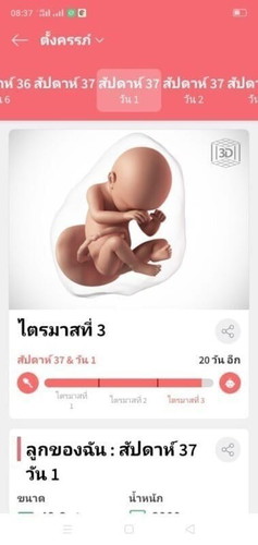 ขอกำลังจัยหน่อยค่ะ