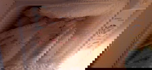 Donor asip bagi yang membutuhkan