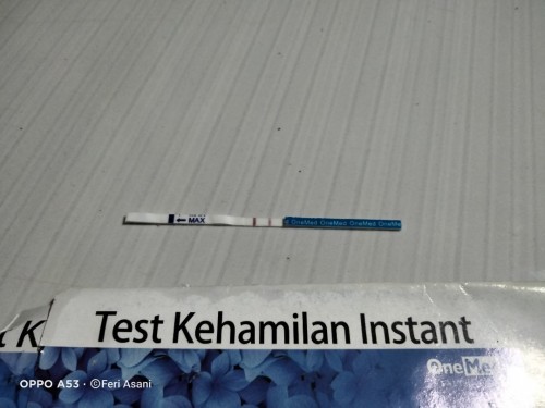 Berhubungan saat hamil 8 minggu