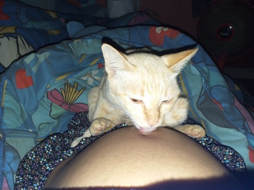 เอาภาพน่ารักๆกับสัตว์เลี้ยงมาฝากจ้าา🥰🐱