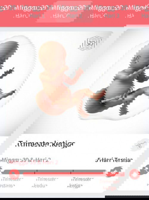 Basah di area miss v