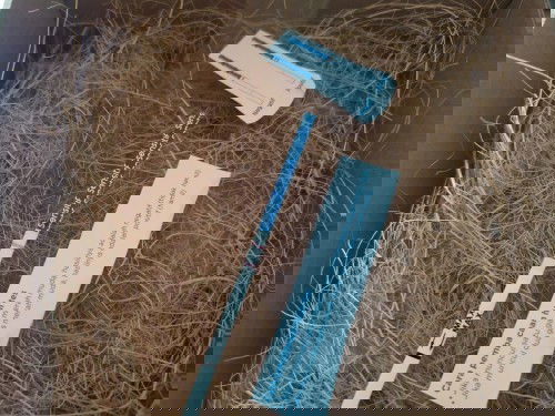 Hai bunds~ salam kenal, saya  hamil usia 6w. Apakah ada grup WA utk sharing dg usia kandungan yg sm?