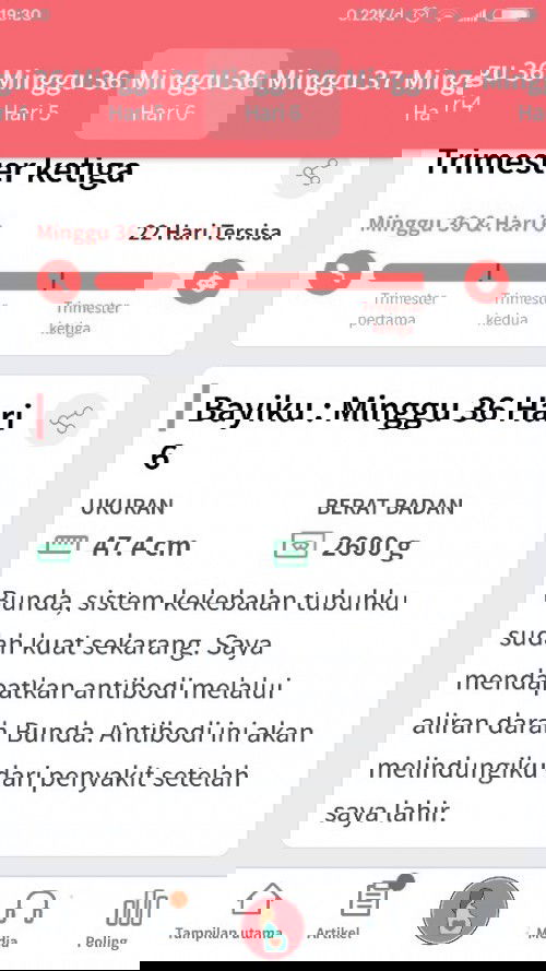 janin 37 w terbaca 33 w😭