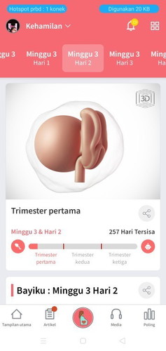 seputar kehamilan