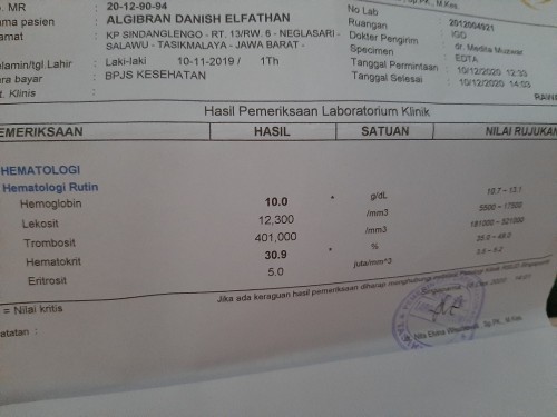 Pup warna kuning pucat / putih