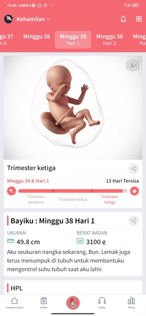 Hpl 24-31 Desember 2020