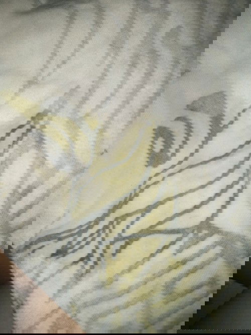 First Time Mom Here.