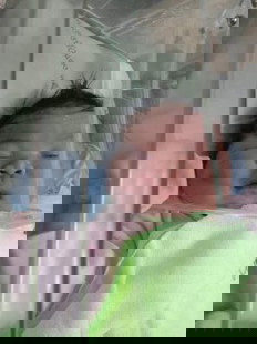 เด็กชาย ณัฐพล ประพันธ์ศรี