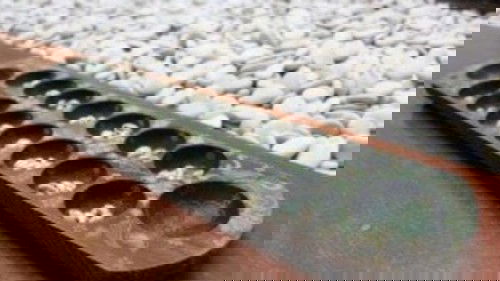 Bermain Dakon Bersama yang Berujung Drama