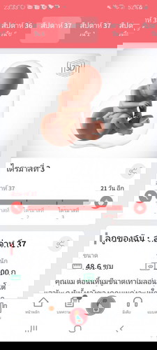 กำหนดคลอดมกราคม