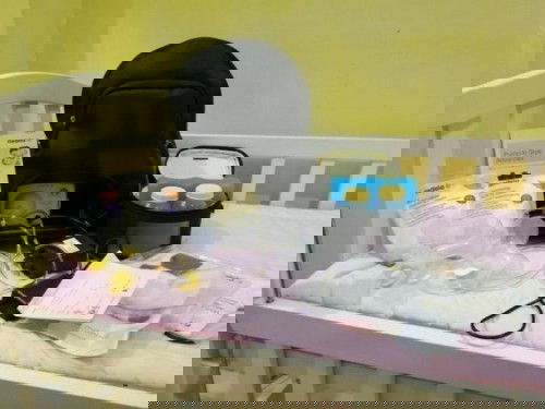 For sale: Medela Pisa