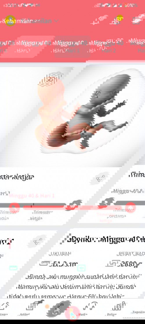 HPL LEBIH BELUM ADA TANDA, BABY MASIH AKTIF