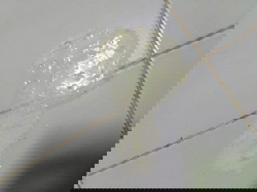 ลูกน้อยบ้านไหนเป็นบ้างคะ