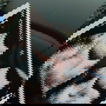 แบบนี้มีถุงตั้งครรภ์ไหมคะ พอดีไปตรวจไม่เจอ6weekแล้วค่ะ😥#