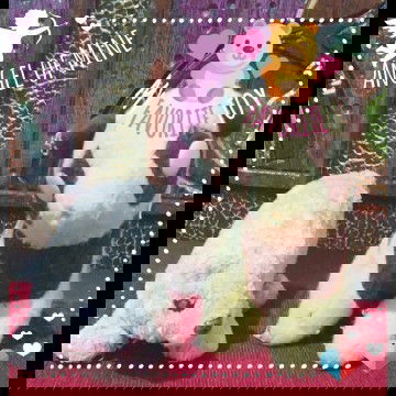 Lili dan Bonbon Boneka Kesayangan