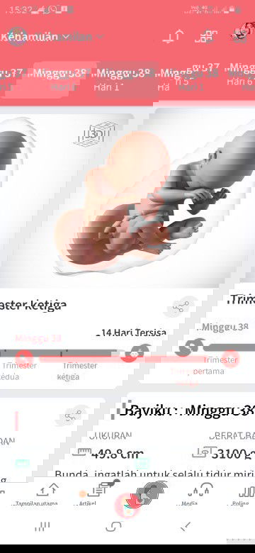Mendekati persalinan