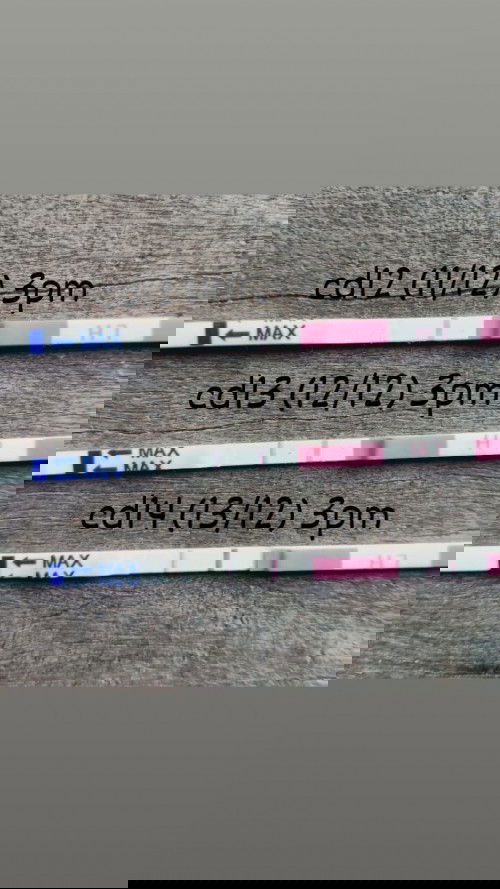 opk positif ke belum