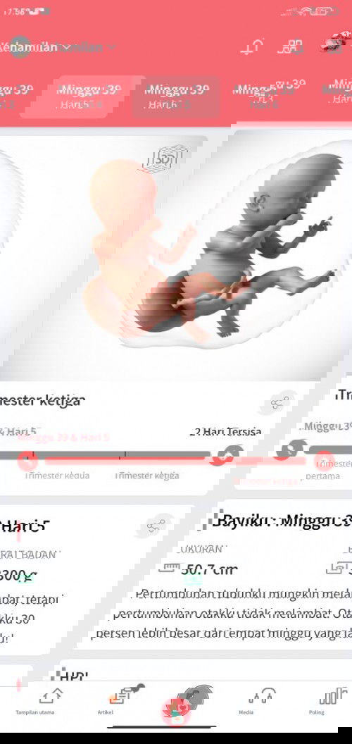 Menunggu Gelombang Cinta