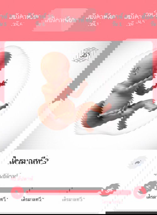 40w ตอนนี้ยังไม่แตกเลย อยากเจอแล้ว 😅😍❤️