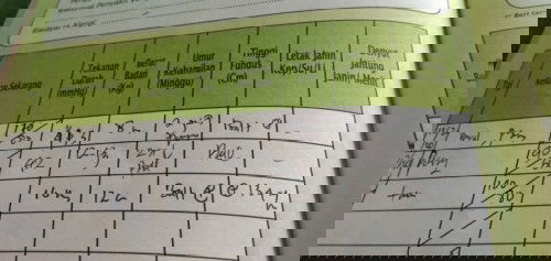 Apakah Normal DJJ 16 Mgg