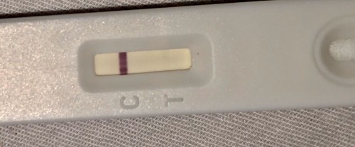 Pregnancy
