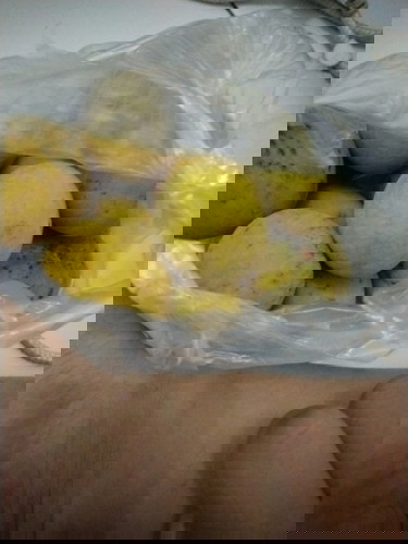 Buah Kecapi