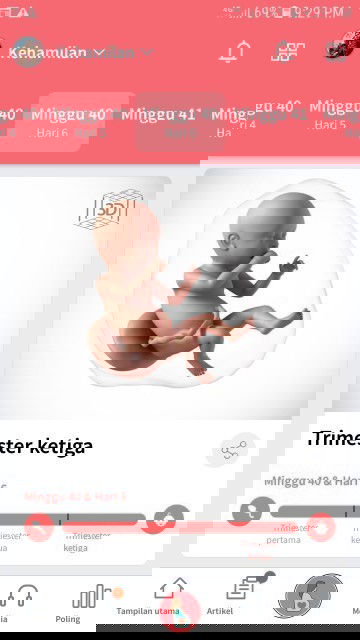 Lewat Hpl jadi worry