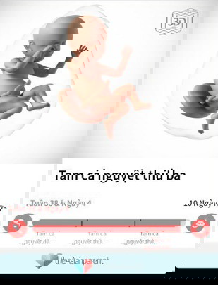 Hóng gặp baby.