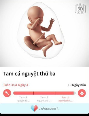 Hóng gặp baby.