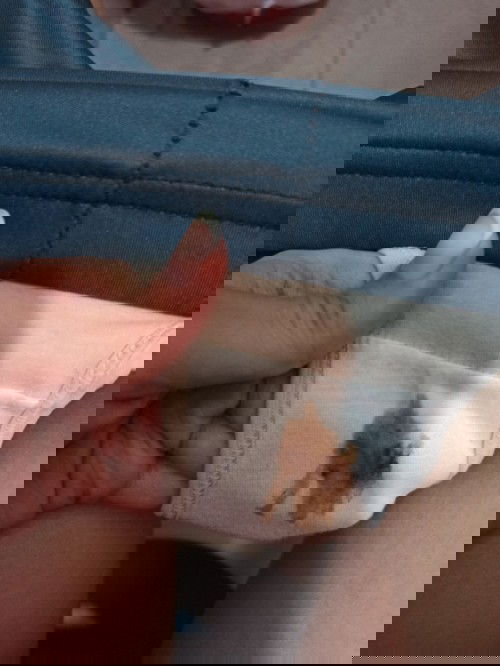 ถามแม่ๆ เราพึ่งไปหาคุณหมอมะวานเพราะมูกสีน้ำตาลๆออกมาหมอแจ้งว่าน่าจะเป็นเลือดเก่าที่ค้างอยู่