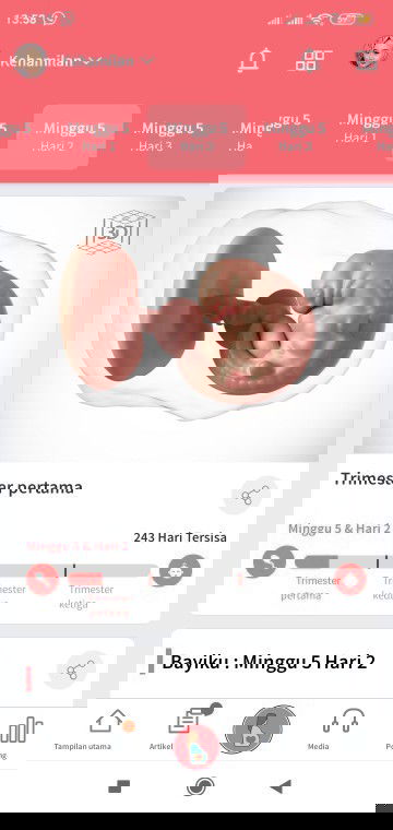 Gejala hamil 5 week apa aja ya bun ??