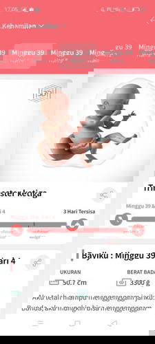 Hpl yang benar yang mana ya bund