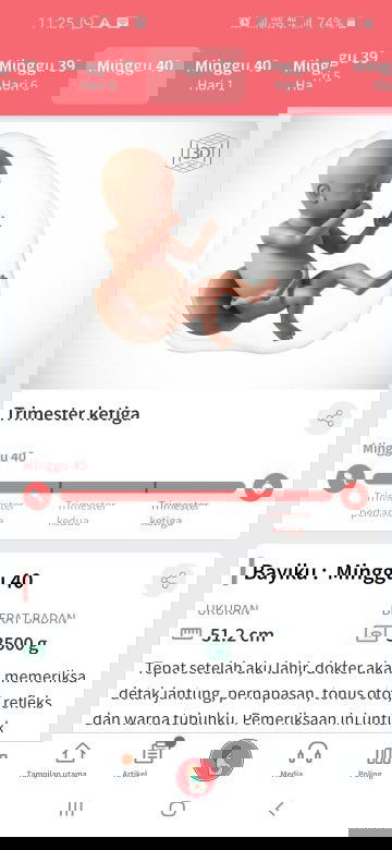 Menunggu gelombang cinta