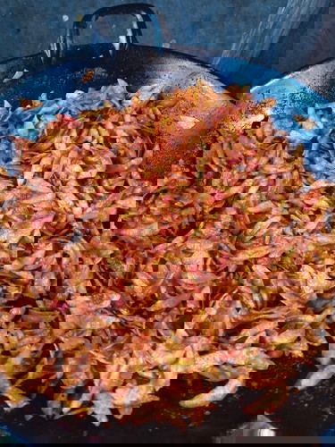 Keripik jengkol balado