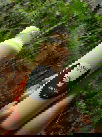 Susu Kurma Premium (ASI BOOSTER)