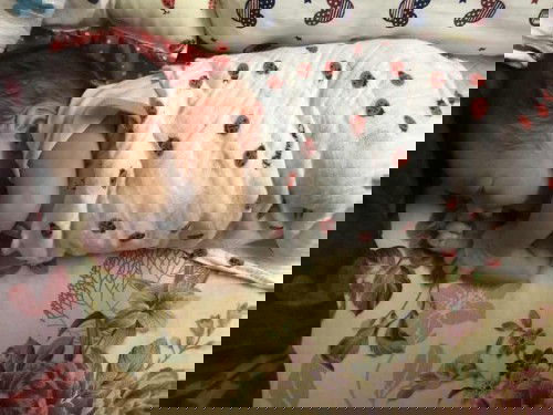 My first bby. And pengalaman baru. Tips bersalin😘😍🥰 Smoga mommey yg tgh tgu due date dipermudahkan .