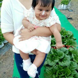 เด็กจะเริ่มคลานตอนกี่เดือนค่ะ