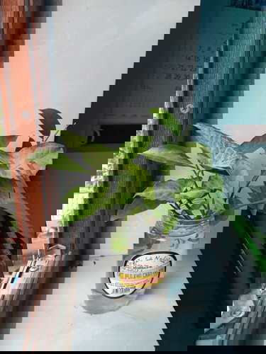 Làm thế nào để dễ nhận bít đau đẻ zay cac mom