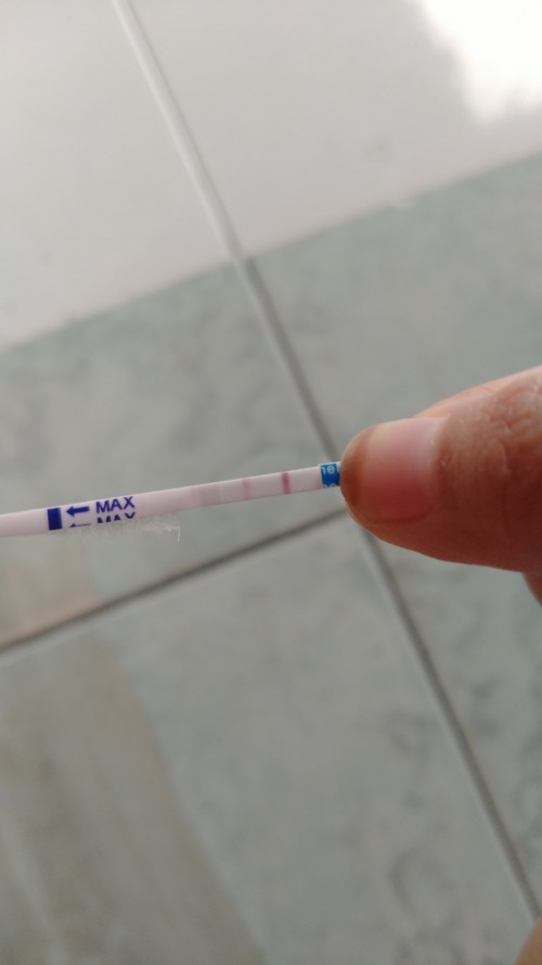 FIX HAMIL KAH?