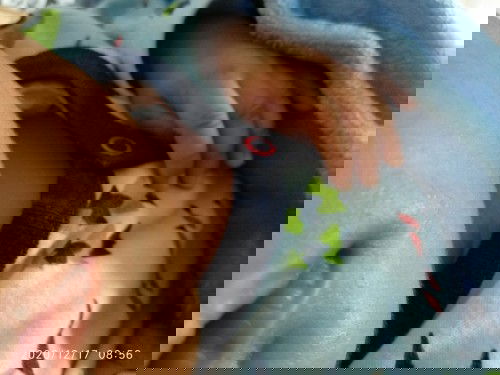 Biarkan tidur atau bangunin