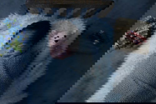 Telah lahir putra pertama kami Irsyad Al Fahturrahman