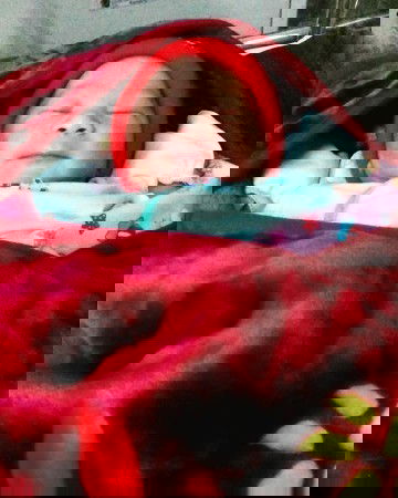 Story  si pejuang SC