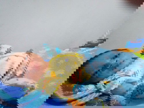 IbuJuara (Lahiran dimasa Pandemi Covid19)