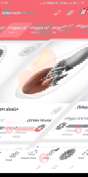 Bantu jawab dong bunda di aplikasi ini nungjukin klau ke hamilan saya dah memasuki 18 minggu tpi